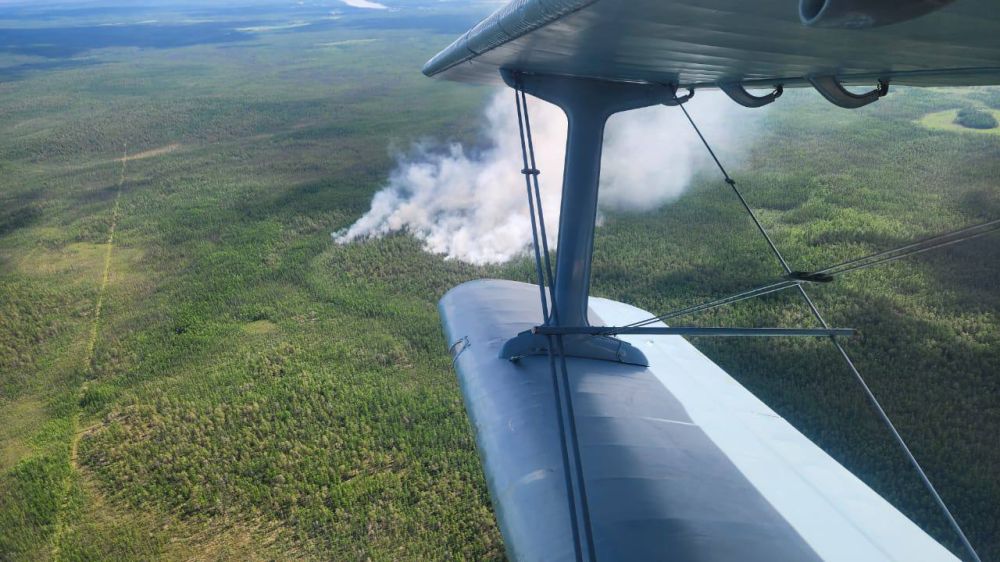 ��-�� ��������� ������� � ������ ����� ����� ��. ��� ���������� �� ���� ����� ���� � ������� ����