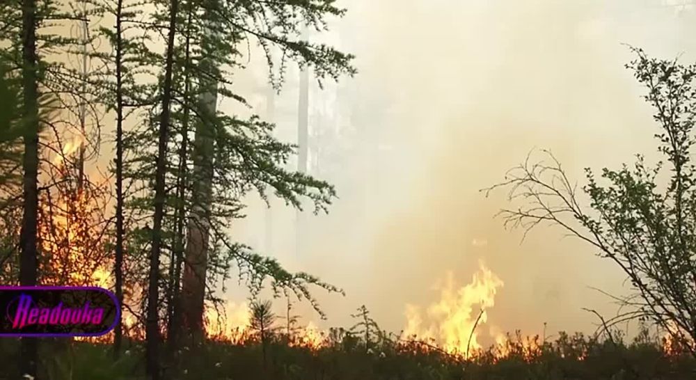 � ������ �������� ��������� ������ � � ������� ������ ����� ��