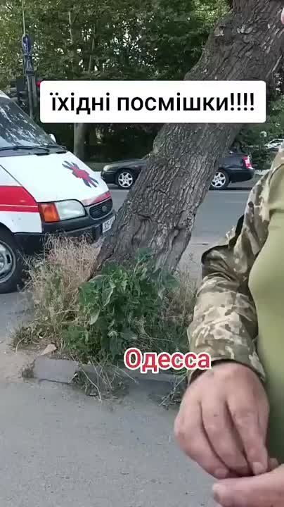 ������, ��������� ������ � ������ ������ ��������� ������������