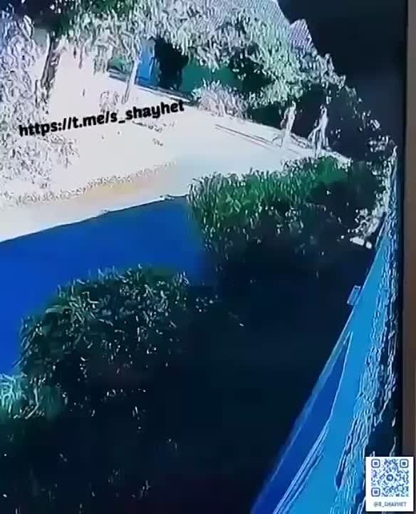 �������� � ��������. ������ ��-�����������.. � ���� ��������� ����� �� ������� �����, �� ����� �����, ������� �������