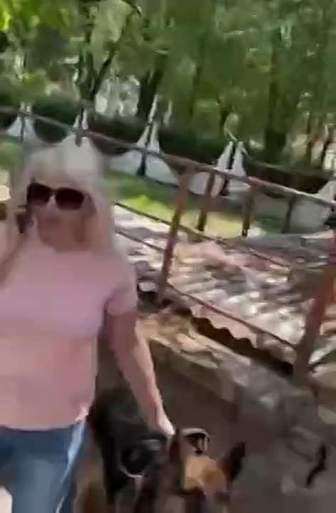 � ��������� ������������� ���������� �� ��������������� �������