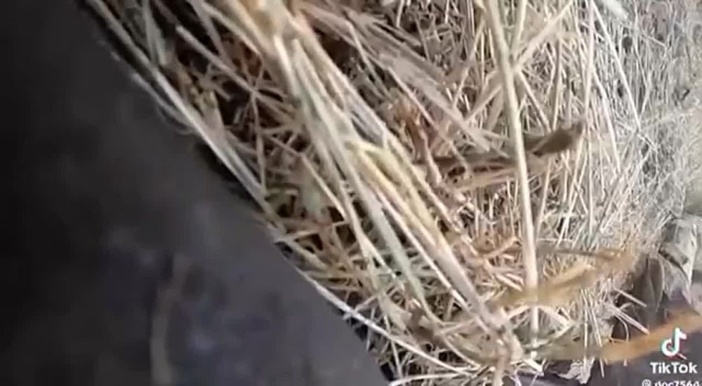� ��������� ����� ������� ��������� �� ����������� ��� � ��������� ����������