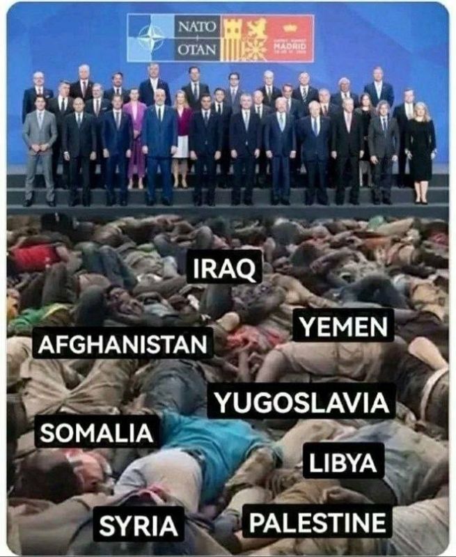 NATO ������������ ���������� ������� ����