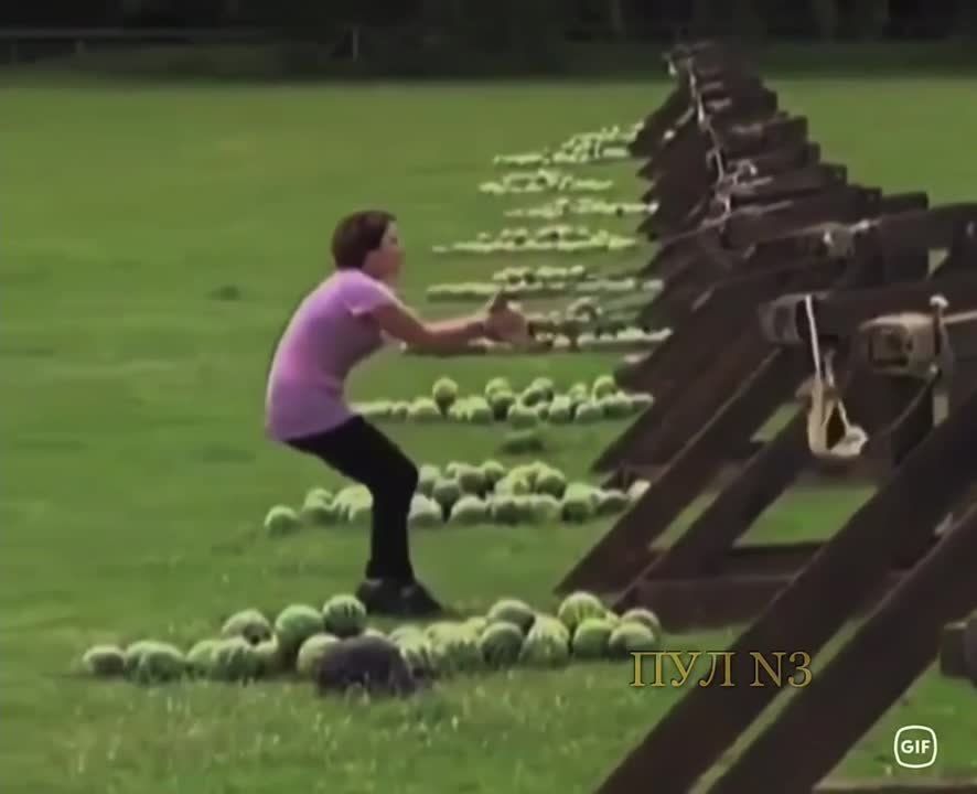 ������� ������ ��� �������