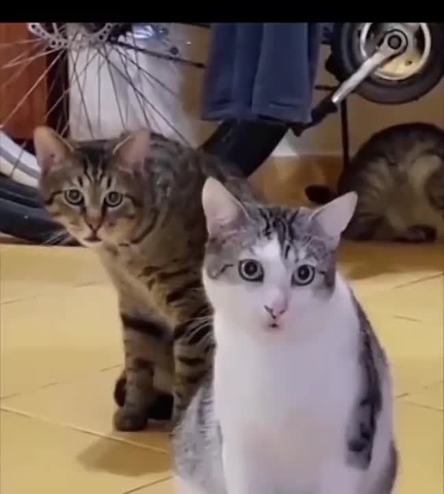 � ��� �������� ������, ����� ��������� ��������� ������