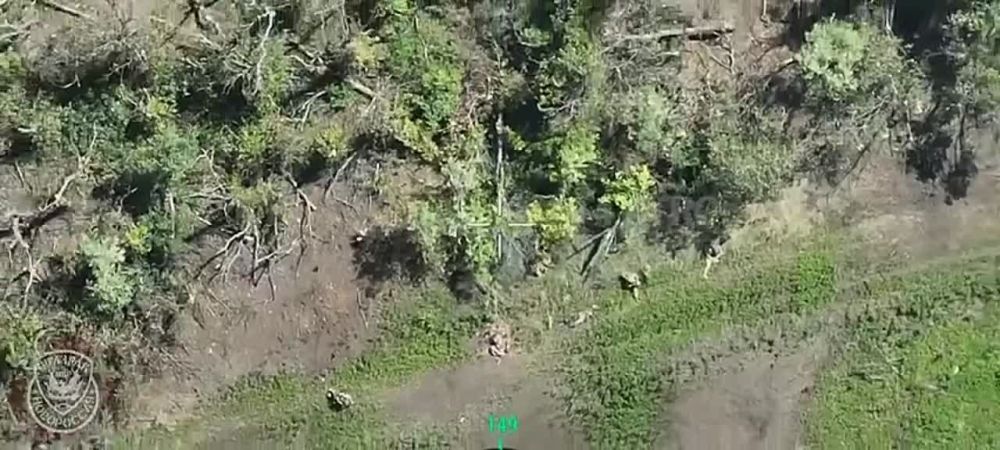 ����� � ���������: ����� ���� ��� ���������� ����� ����������� �������� ������� ��������� ����������