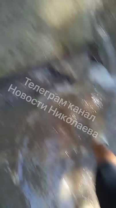 �� 3-� ���������� �������� ������������ ������ �������, ��� ��� ����������� �����