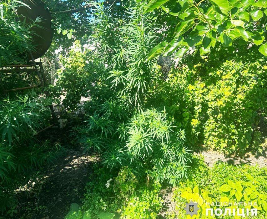 � ������������ ������ ����������� ����������� �������� ������ �� ����������� ��������������� ��������
