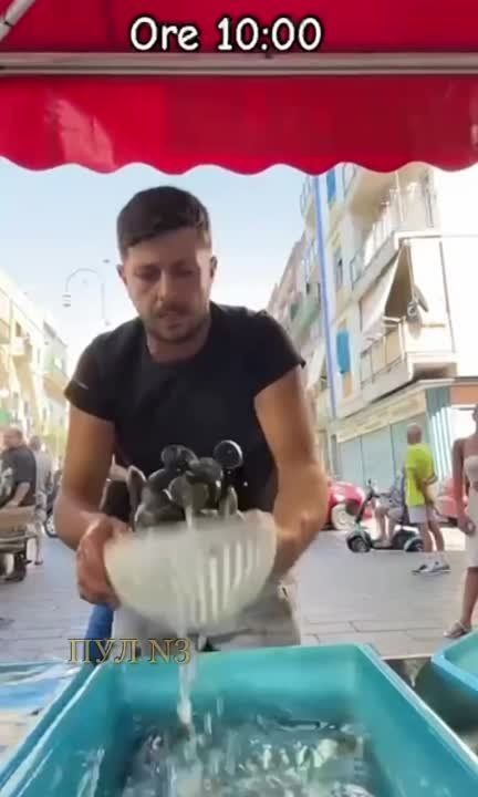 �� ����� ���� "������ �� �����������, � ������ � ���������" ��������� ������� �������������� � �������: � ������ ����� �������� ���������� ������� - ����� ����������, ��� ���������� ���� �����, �� ��� ��������� ���������� ������� �������