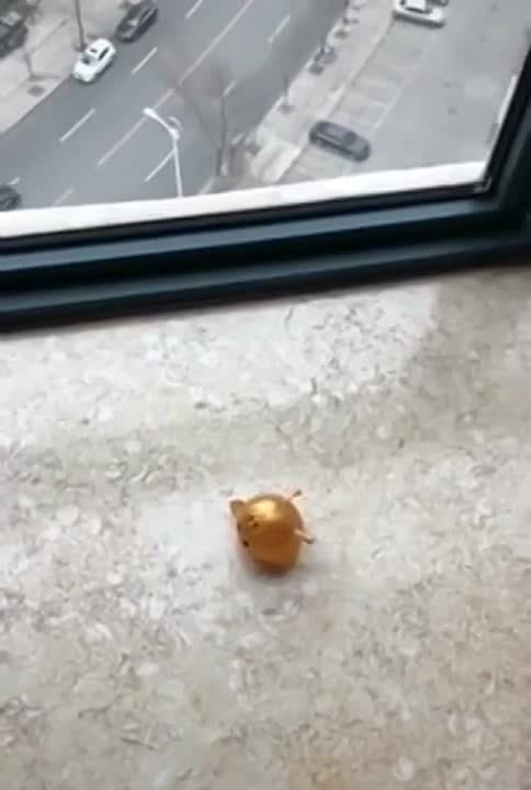����� ���� ������. ����� ������. �� �� �� �� ��������