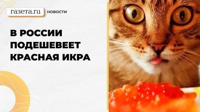 ������ ������� �� �����������