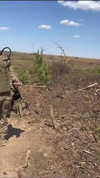 � ��� �����-�� ������ ������ �� ����������� ������������ ������ ������, ��� Stryker ��� "������ ��������������" � ����� �� ������ � ������ ��������, ����������� �����������