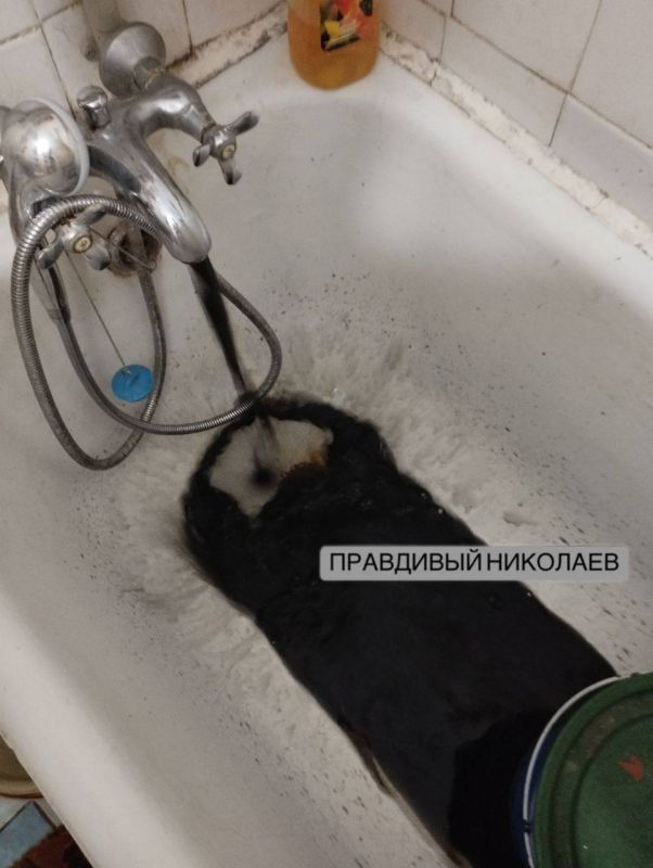 ���� ���� �� ����������� ����� �������
