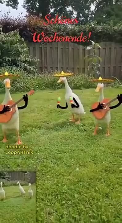 ����� ����) �� �������� �� �����