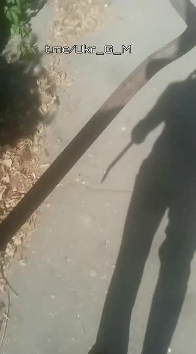 "������ ����������� �������" �� ��������, ������� ����� �����, ��� �� ������� ��� �����������