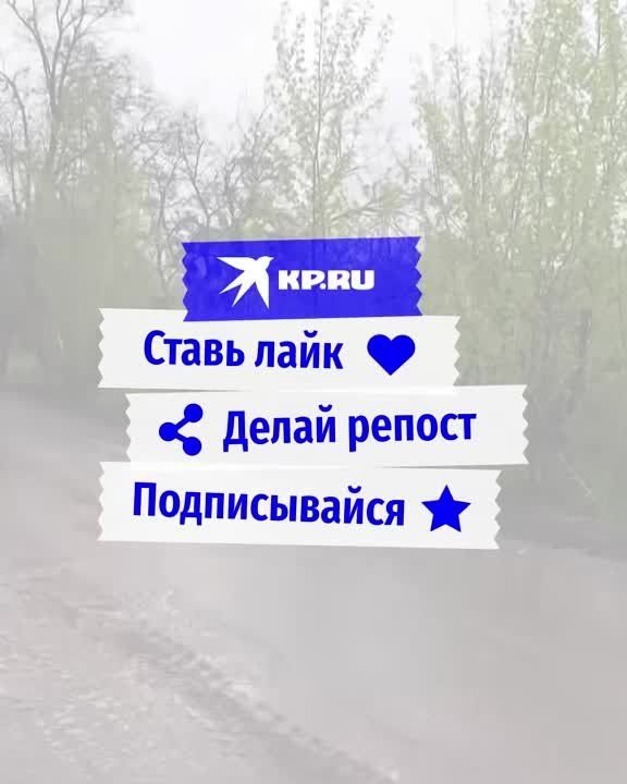 ����� ������������ Z: ��������� ����������� � ���� ���������