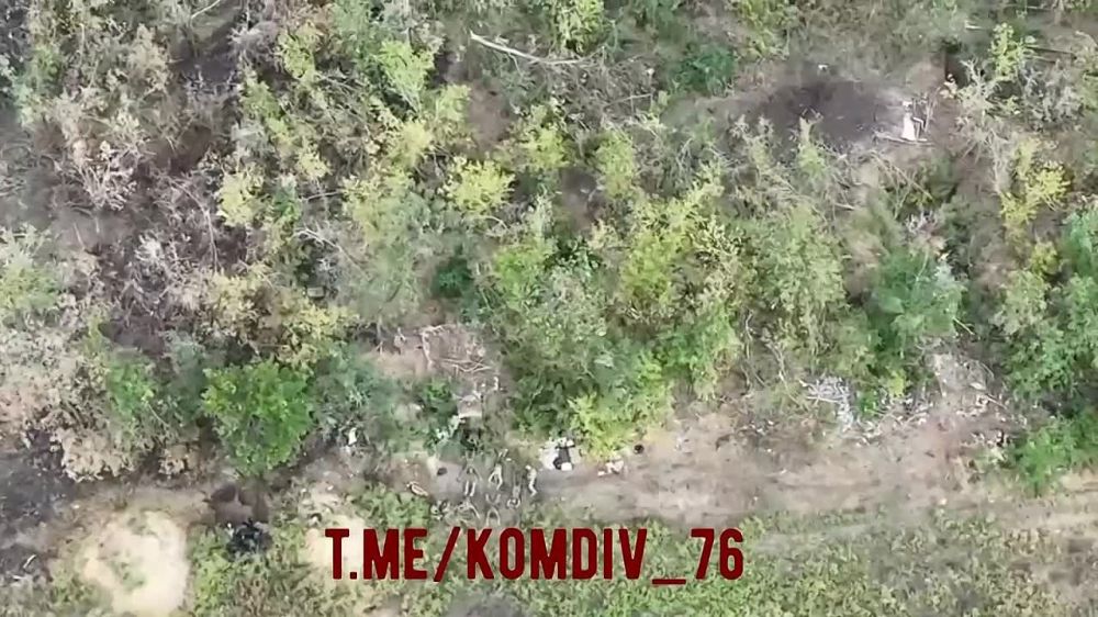 ����������� ������ ��� ������� ����� ���������� ������� � ����� ����� - ��������� ���� "�������� �����" ��� ������� ���������� � ������������ �������