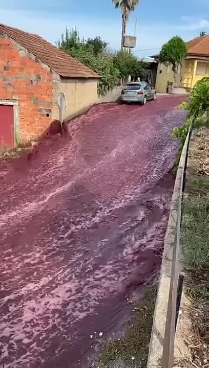 ����, � ������� ������� ������� ����� ������