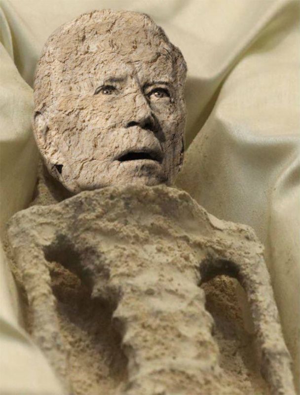 ������ ���������� ���������� ������� ������� ���� "�����������"