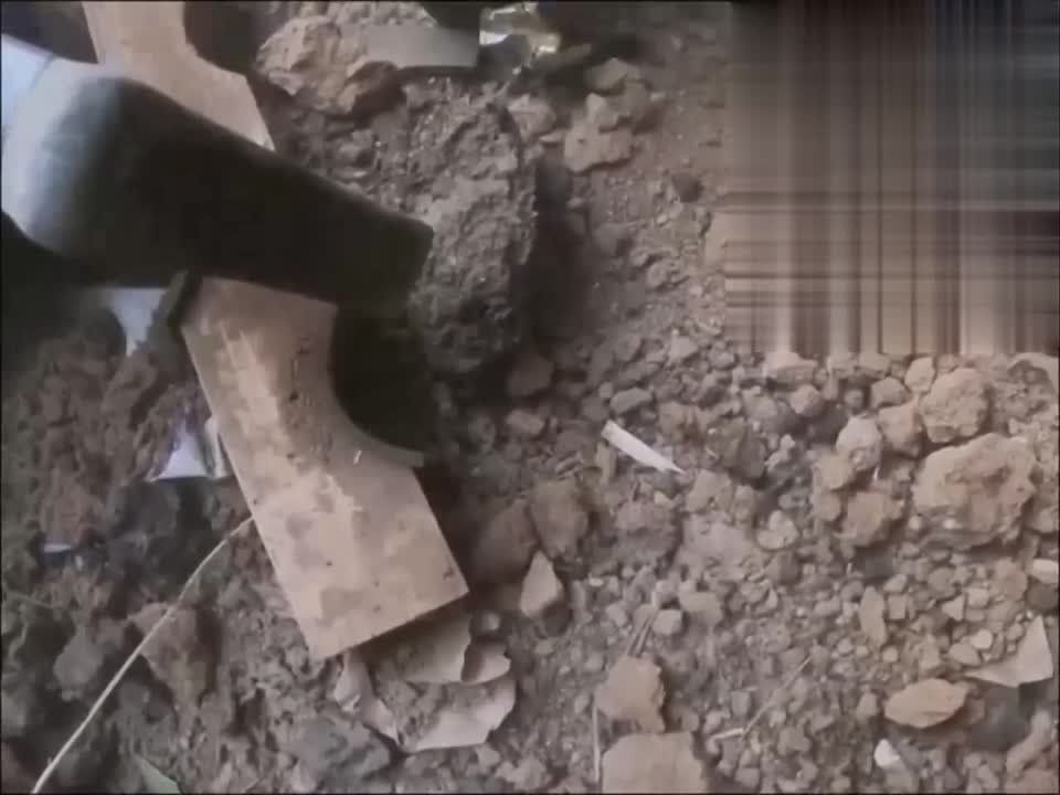 ��� �� ������� ���� �� ������ ���-1� "���������" �� ���������� �������� � ������ ��������