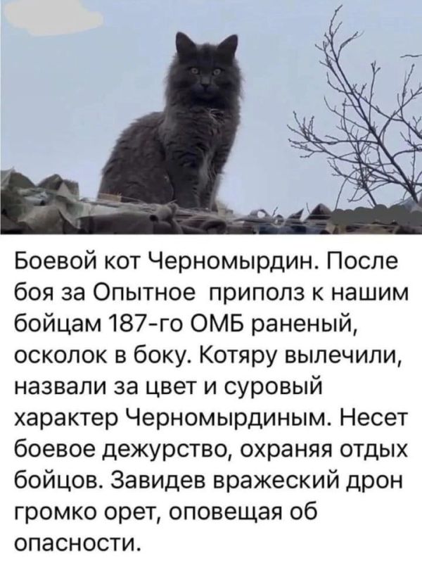 ���� ������ � ������, � ������