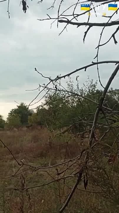������� ������� �� ����� ������� ������� �������� ���-500�62 � ���� �� �������� ����� "����������"