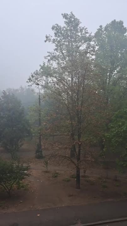 ��� ��� ���������� �� ���� ��������, ����������� ����� �������� ��� ���������