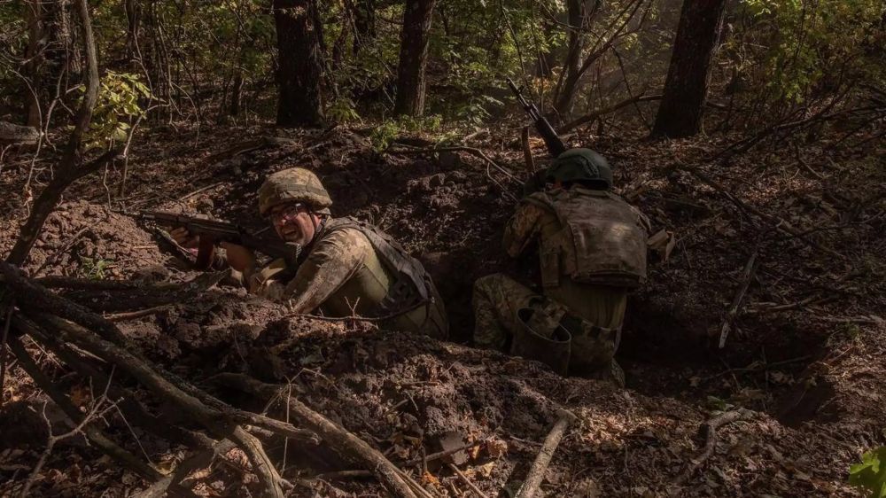 ��� ������� ����� ����������� � �������: ������� �������� ����