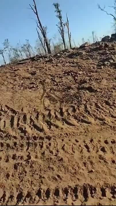 ����������� ���������� ������ ������ ��� ��������