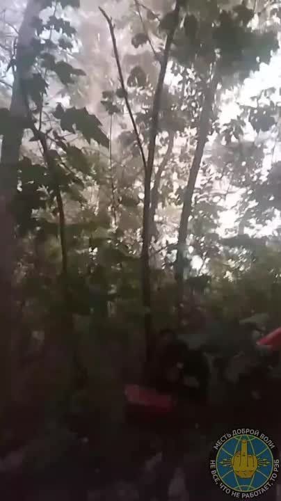 � ������ �������� ������� ��� ��������� ����������� ��������