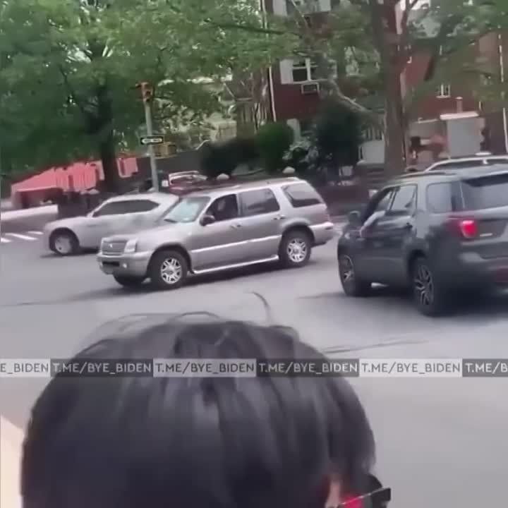 � ������ ���� ���������, ������������� ������� ������, ������������ ������ ������ ������ ������� ��������