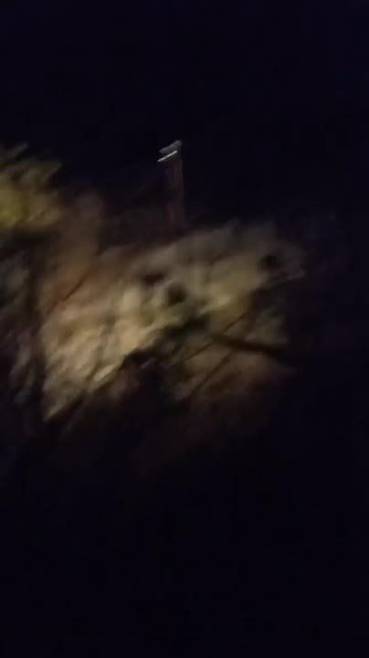 ���� ����: ��� ��������� ��������, ������� � 2.30 ������ ������� ����� �������