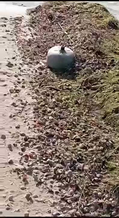 ����� ��������� �� ����� ��������� ����, ������� �� ������� ������
