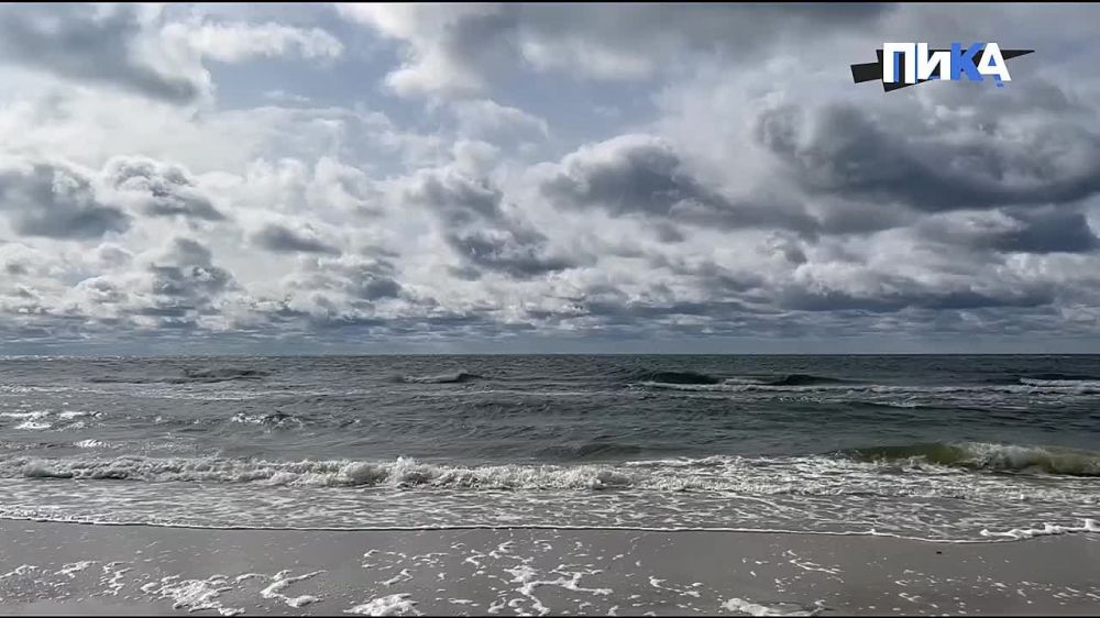 ������ ������� ����� ��������� ������ �������