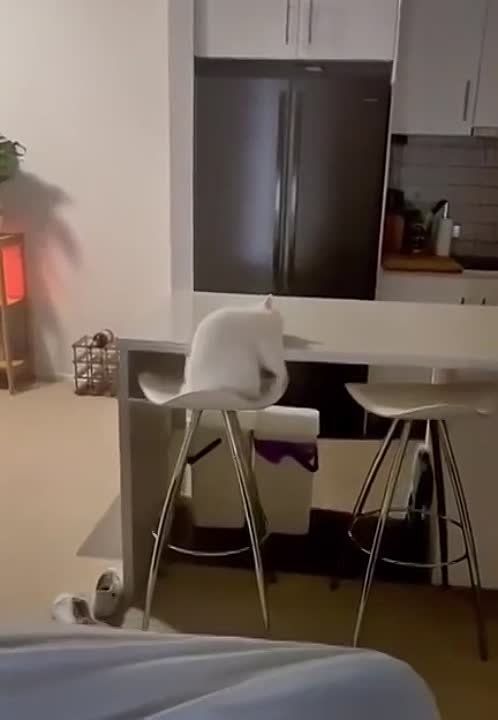 ��������� ���� �������� �� ������!