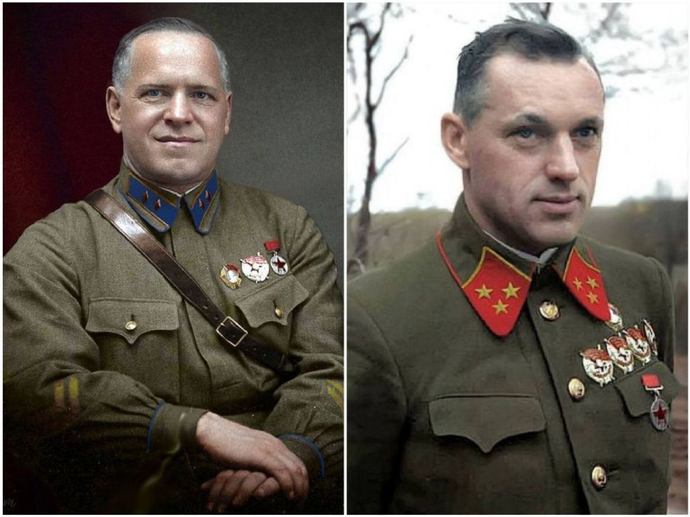 ����������� ����������� ����������� �����