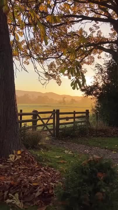 �������� ������ � ��������, ����� � ��������������, ����� � �����, �� �������� � �������