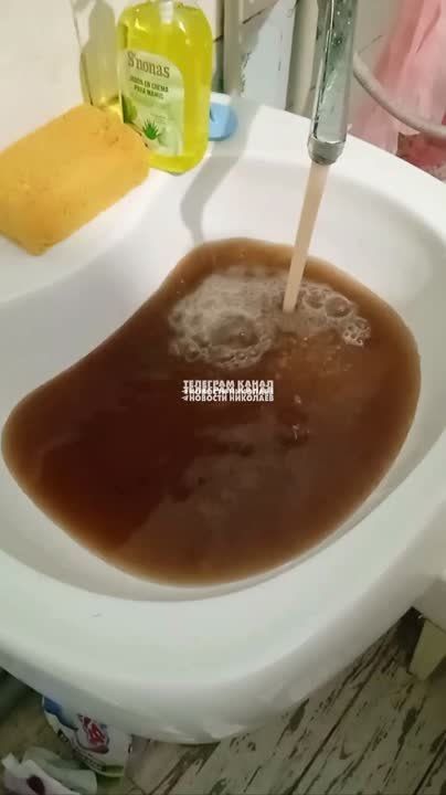 ��� ����� ���� ������ �� �����������