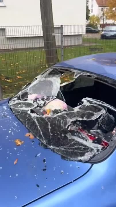 ������� �������� �� ��������