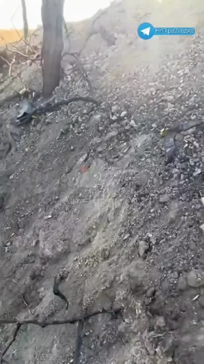 ��������� ��������� � ������