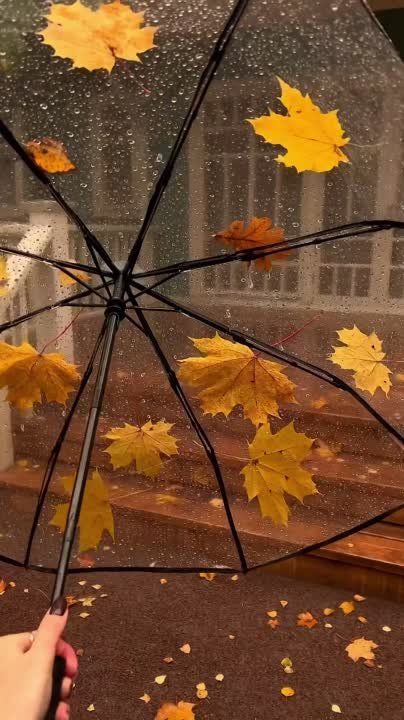 ����� �� ������, �� ������