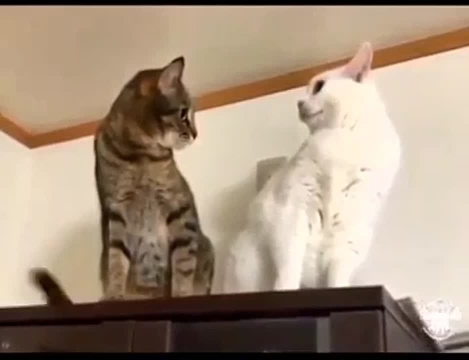 ������ �� ��, ��� ������ - ������������� ������ ���������?