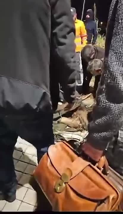 � ������������ ���� ������� ����, ������� ������ �� �����