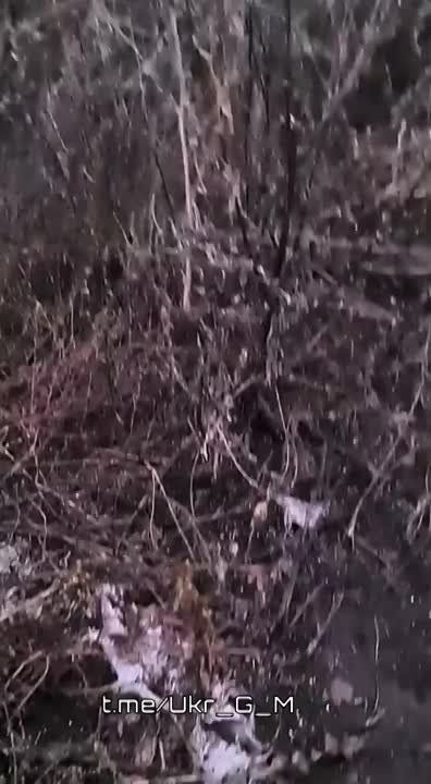 �������� ������������� �������� �������������� � ���-4 "�������", ������������ � ���������� �������������� ������