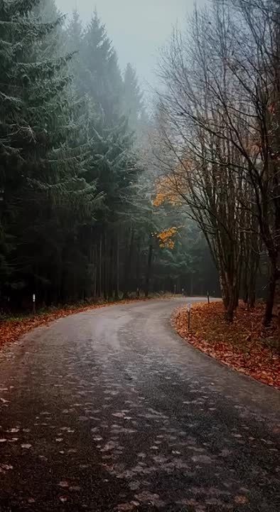 �� ��������� � �����������