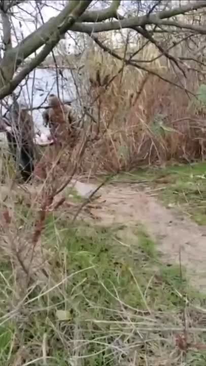 �������� ����� ������� 60-�������������� ������������ � ���� ���