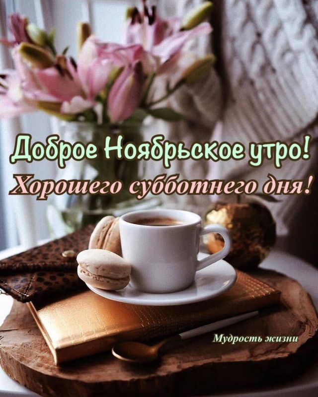 �� ����� ���� ������� �������