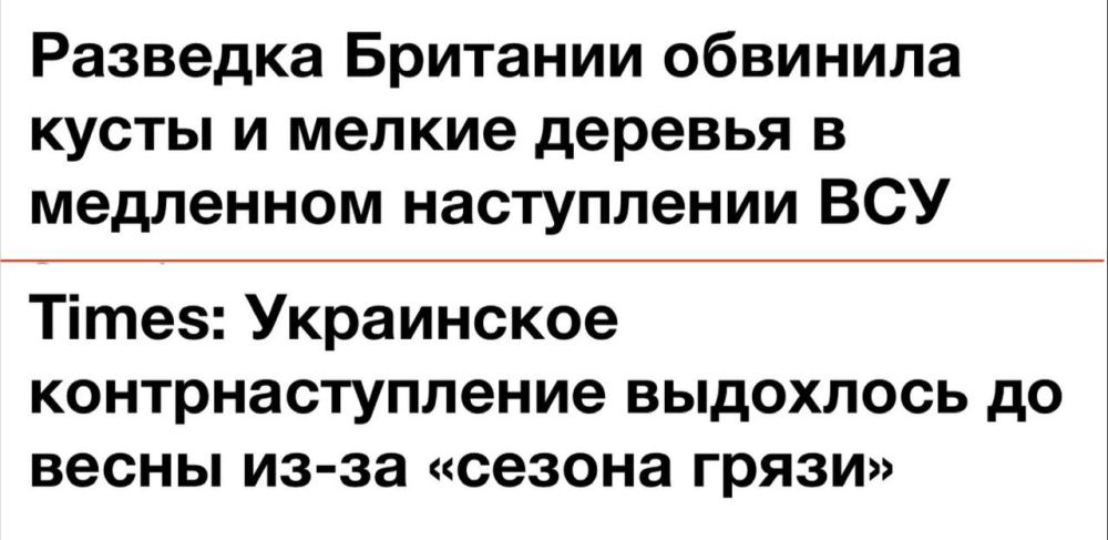 ����� ���� ������� ����� � ����� �������������