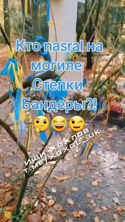 ���-�� ������� ���� "��������" �� ������ ������� �������