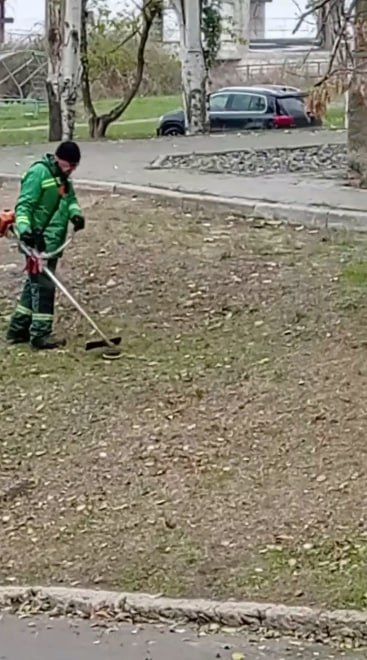 ��� ��� ��������. ������������ � ��������� 23 ������. ��������